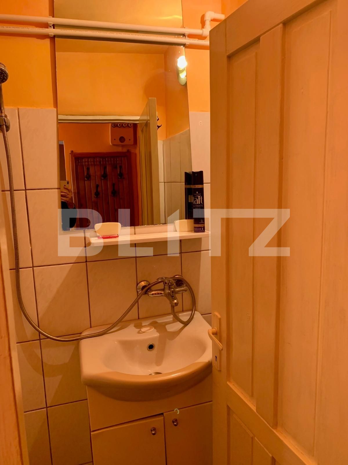 Garsonieră de vânzare 6 Vanatori - 99352AV | BLITZ Arad | Poza11