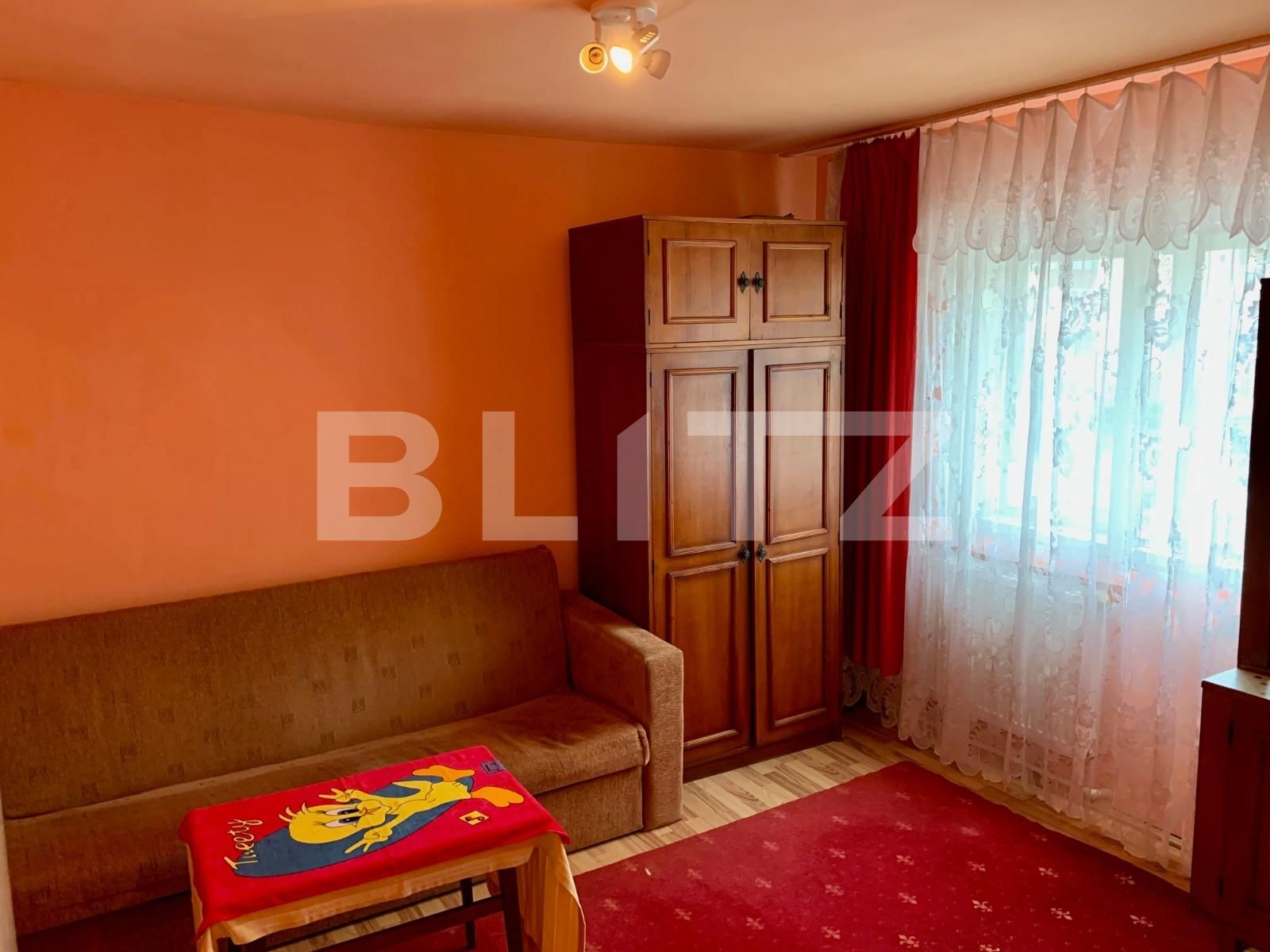 Garsonieră de vânzare 6 Vanatori - 99352AV | BLITZ Arad | Poza5