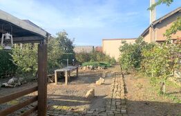 Reducere! Apartament de 2 camere la casa, 68 mp, 520 mp teren, zona Sega