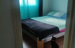 Apartament 2 camere, etaj intermediar, 36 mp, zona Șega