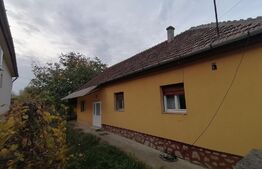 Casa cu teren 3211 mp, doua fronturi stradale, Vladimirescu