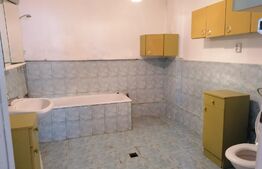 Casa cu teren 3211 mp, doua fronturi stradale, Vladimirescu