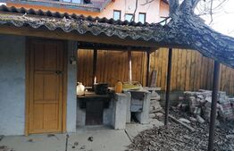 Casa cu teren 3211 mp, doua fronturi stradale, Vladimirescu