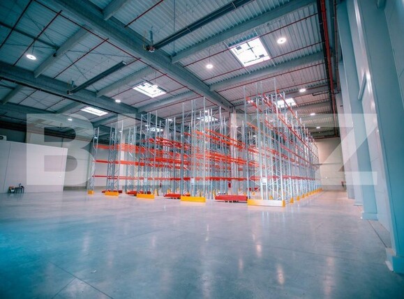 Spațiu industrial de închiriat Letea Veche - 103182SII | BLITZ Bacău | Poza2