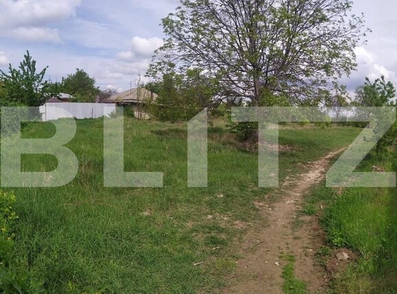 Teren de vânzare Izvoare - 139479TV | BLITZ Bacău | Poza6