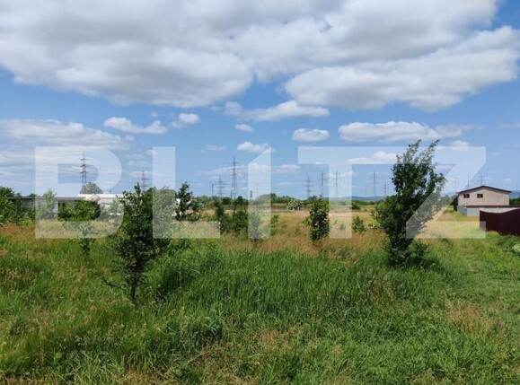 Teren de vânzare Izvoare - 139479TV | BLITZ Bacău | Poza10