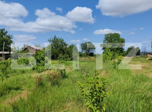 Teren de vânzare Izvoare - 139479TV | BLITZ Bacău | Poza7