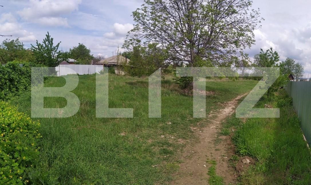 Teren de vânzare Izvoare - 139479TV | BLITZ Bacău | Poza6