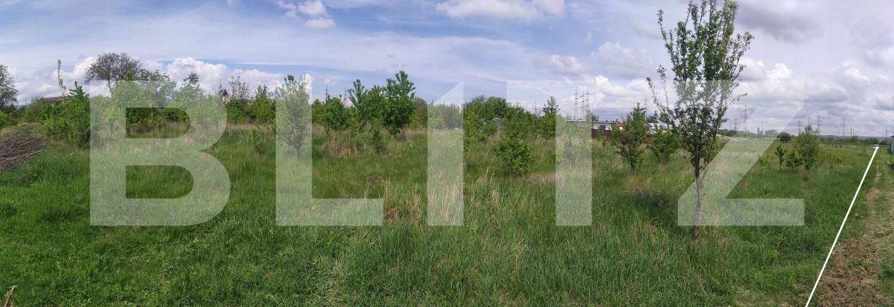 Teren de vânzare Izvoare - 139479TV | BLITZ Bacău | Poza8