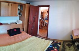 Casa 5 camere, 170 mp utili, 650 mp teren, zona Hemeius