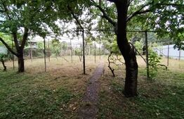 Oferta fulger! Casa Serbanești  cu teren 900 m.p.