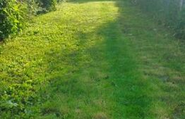 Casa individuala, 4 camere, 110 mp, zona Hemeius 