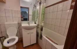 De închiriat apartament 1 cameră/garsonieră, Ultracentral