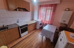 De închiriat apartament 1 cameră/garsonieră, Ultracentral