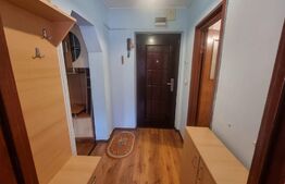 De închiriat apartament 1 cameră/garsonieră, Ultracentral