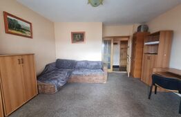 De închiriat apartament 1 cameră/garsonieră, zona Arena