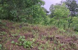 Oferta !!! Casa batraneasca cu 1000 m2 teren 