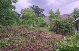 Oferta !!! Casa batraneasca cu 1000 m2 teren 