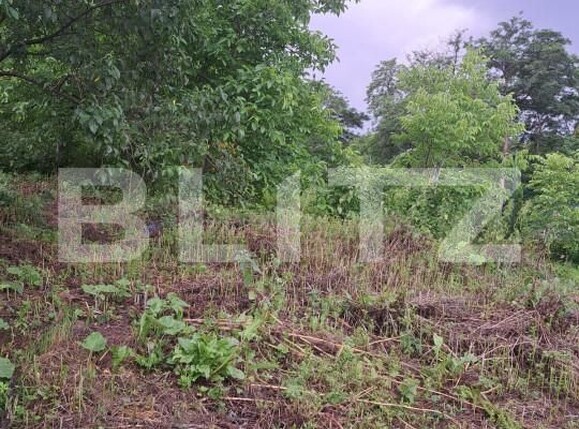 Casa de vânzare 2 camere Măgura - 152762CV | BLITZ Bacău | Poza7