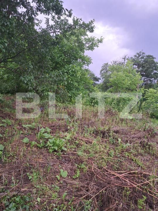 Casa de vânzare 2 camere Măgura - 152762CV | BLITZ Bacău | Poza7