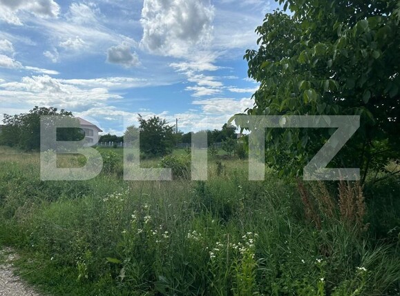 Teren de vânzare Calea Bârladului - 153097TV | BLITZ Bacău | Poza3