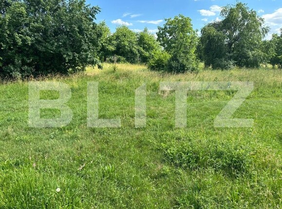 Teren de vânzare Calea Bârladului - 153097TV | BLITZ Bacău | Poza4