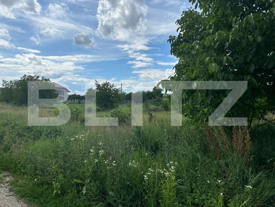 Teren de vânzare Calea Bârladului - 153097TV | BLITZ Bacău | Poza3