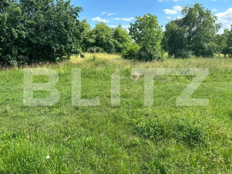 Teren de vânzare Calea Bârladului - 153097TV | BLITZ Bacău | Poza4