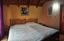 Vilă de Vis și Cabană cu Panoramă Superbă, Grădină și Foisor