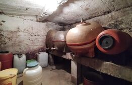 Casă de vanzare in Serbanesti 