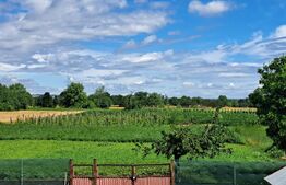 Casa si 2100 mp teren Filipesti ! 