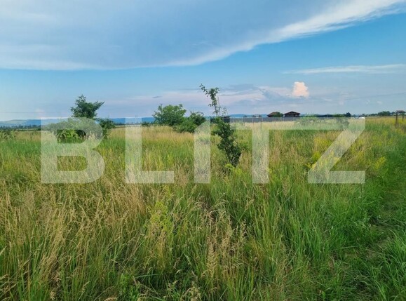 Teren de vânzare Măgura - 153527TV | BLITZ Bacău | Poza3