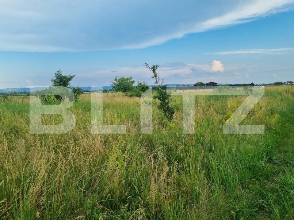 Teren de vânzare Măgura - 153527TV | BLITZ Bacău | Poza3