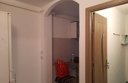 Inchiriere garsoniera, zona Stefan cel Mare