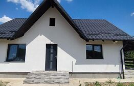 Casă aproape de Bacău 