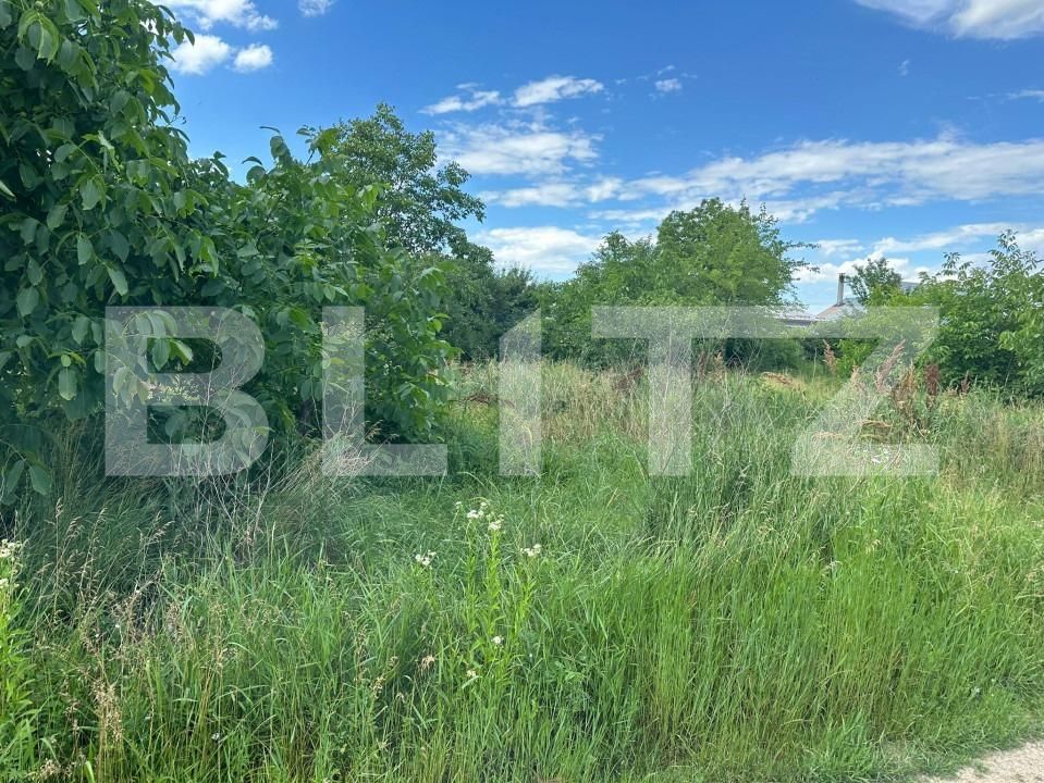 Teren de vânzare Tache - 154052TV | BLITZ Bacău | Poza2