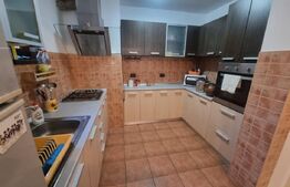 Casă individuală/pensiune 160 mp, Sărata