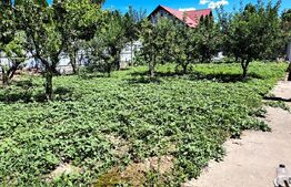 Oportunitate Vila Cleja la E 85 si 20 km de Bacau