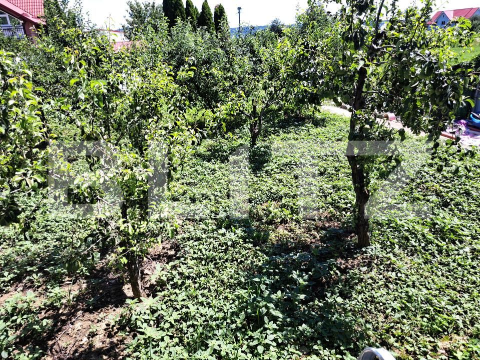 Casa de vânzare 4 camere Sud - 154348CV | BLITZ Bacău | Poza15