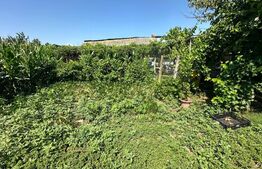 Teren 960 mp cu casa batraneasca in Lilieci -COMISION 0 % CUMPARATOR