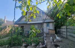 Casa batraneasca cu teren