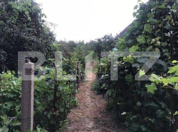 Teren de vânzare Șerbănești - 155279TV | BLITZ Bacău | Poza6