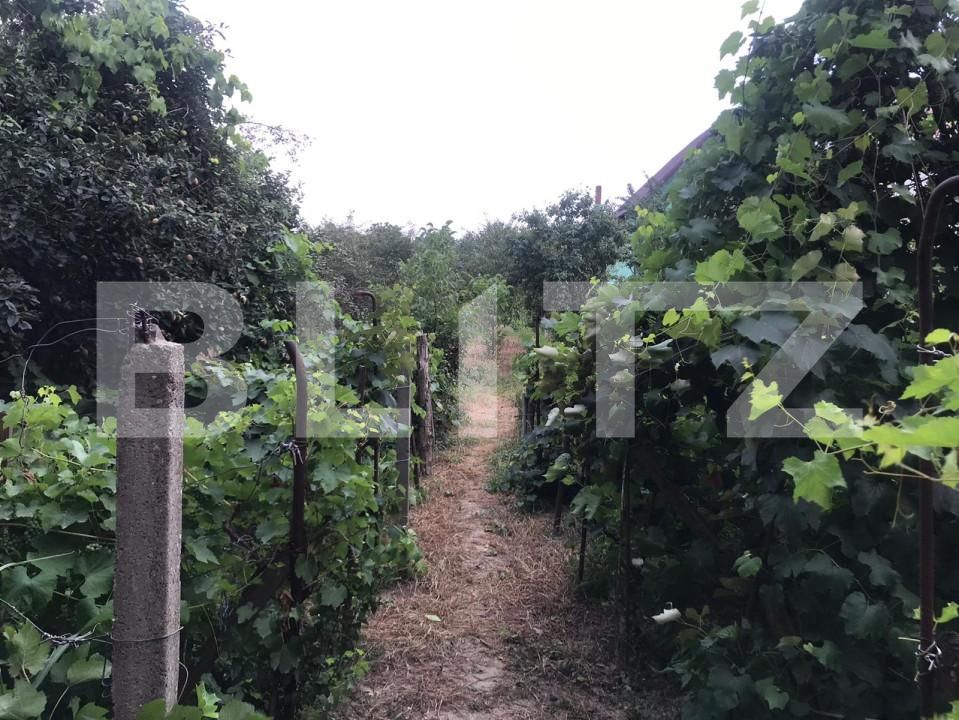 Teren de vânzare Șerbănești - 155279TV | BLITZ Bacău | Poza6