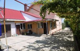 Vila din Caramida în Fântânele, Bacău - Oaza Ta de Liniște și Confort