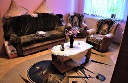 Vila din Caramida în Fântânele, Bacău - Oaza Ta de Liniște și Confort