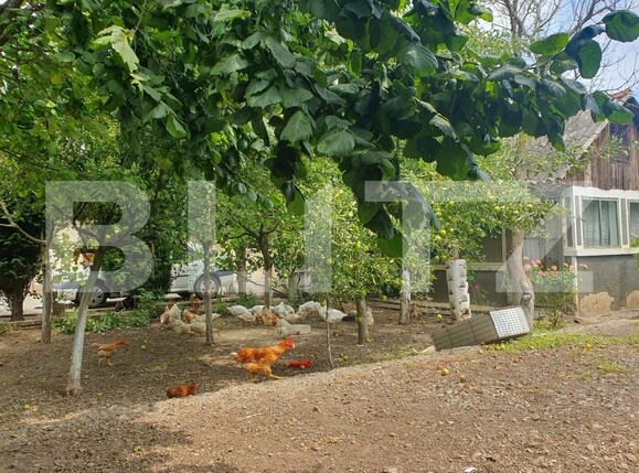 Casa de vânzare 3 camere Saucesti - 155839CV | BLITZ Bacău | Poza9