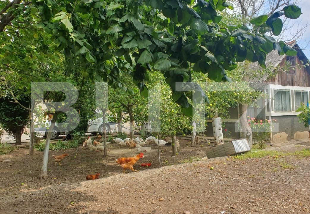 Casa de vânzare 3 camere Saucesti - 155839CV | BLITZ Bacău | Poza9