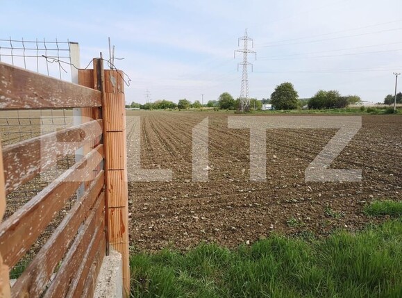 Teren de vânzare Șerbănești - 155868TV | BLITZ Bacău | Poza2