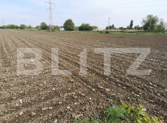 Teren de vânzare Șerbănești - 155868TV | BLITZ Bacău | Poza3