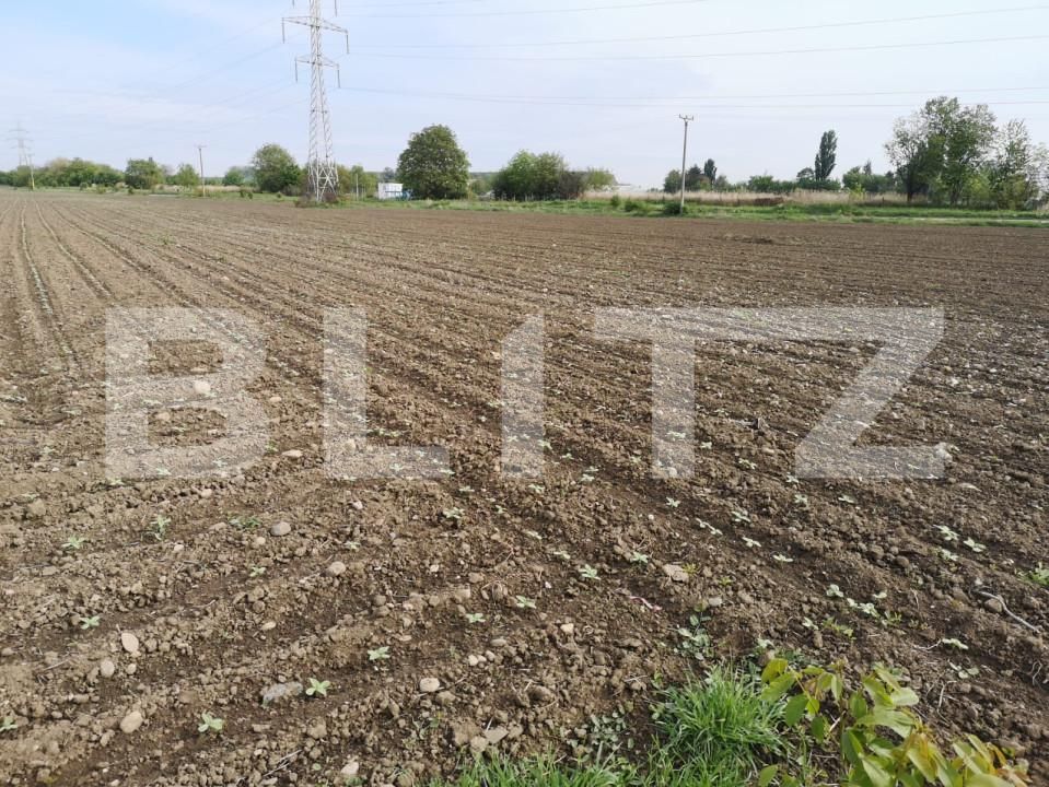 Teren de vânzare Șerbănești - 155868TV | BLITZ Bacău | Poza3